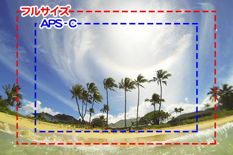 フルサイズとAPS-Cの違い
