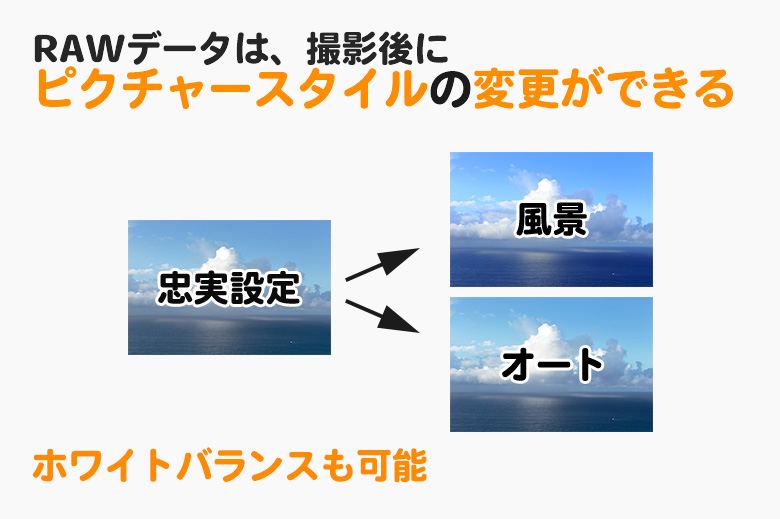 RAWデータで撮影すると、なにがいいの?
