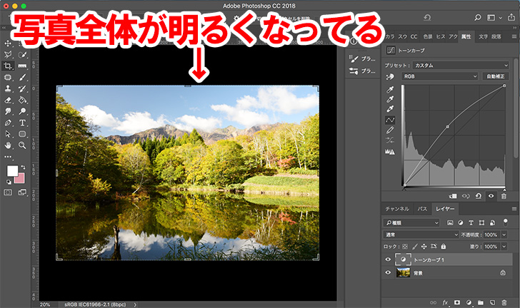 Photoshopトーンカーブ