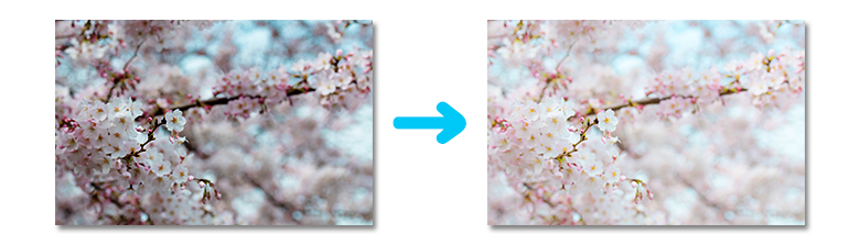 【初心者向け】Photoshopで出来る９つのコト