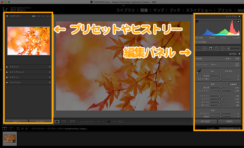 Lightroom（ライトルーム）の特徴と料金プラン