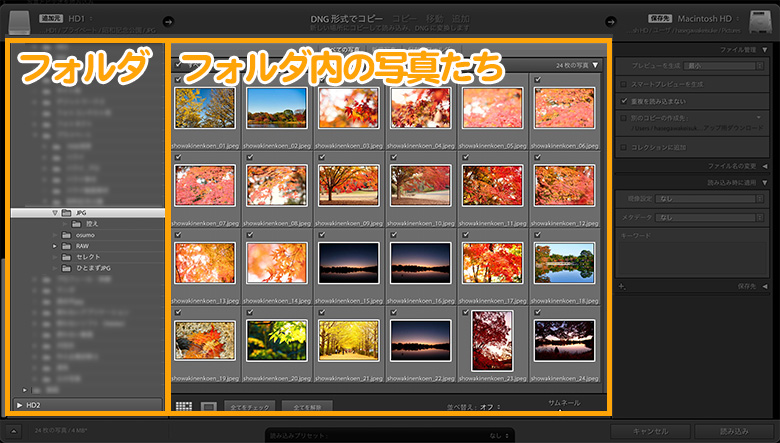 Lightroom（ライトルーム）の特徴と料金プラン