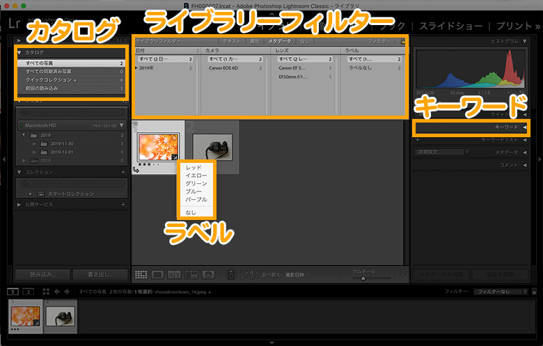 Lightroom（ライトルーム）の特徴と料金プラン