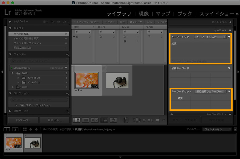 Lightroom（ライトルーム）の特徴と料金プラン