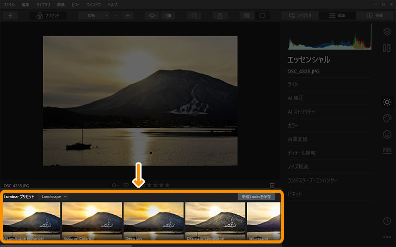 Luminar 4 Looksの使い方