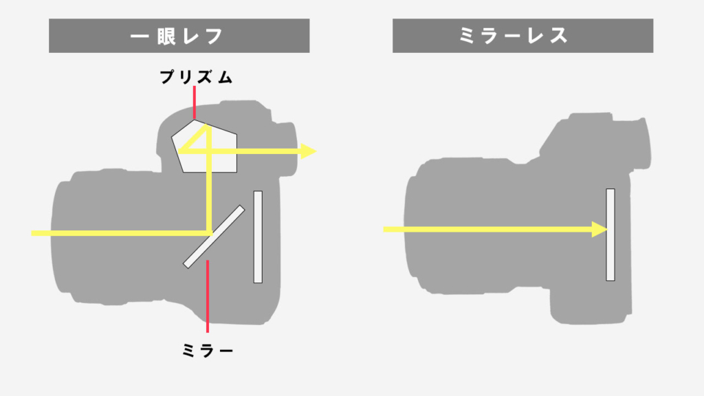 デジタル一眼レフとミラーレスカメラの違い