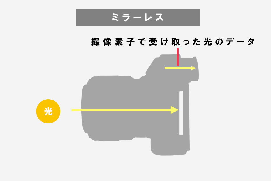 デジタル一眼レフとミラーレスカメラの違い