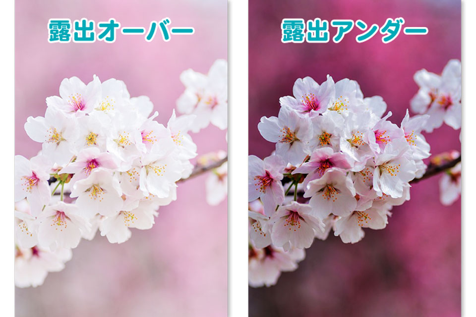 露出補正の注意点と解決方法