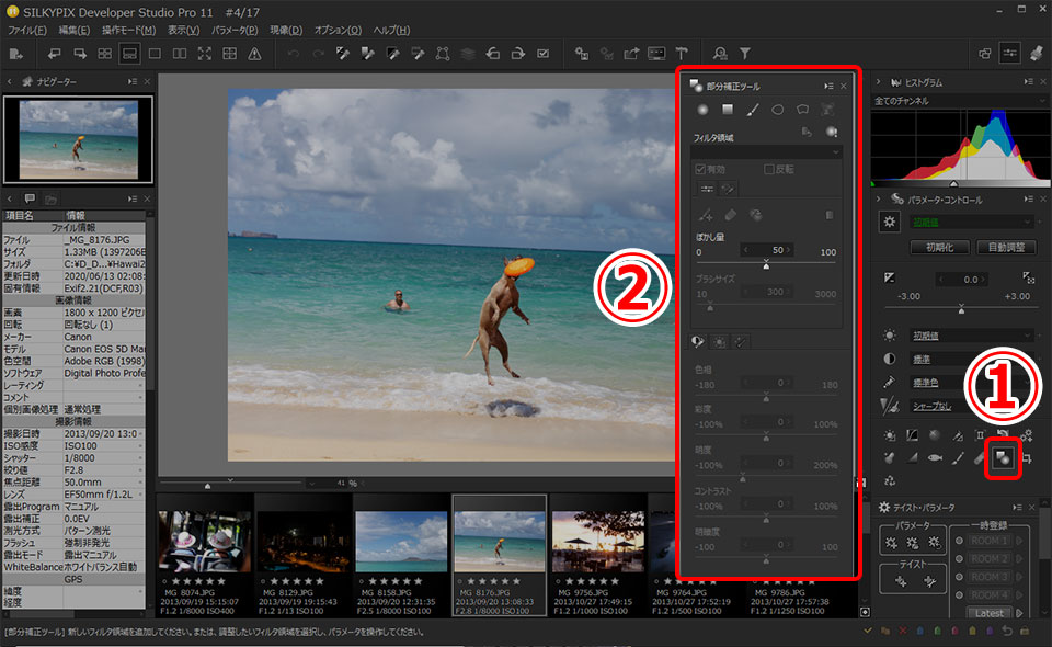 SILKYPIX Developer Studio Pro 11の使い方